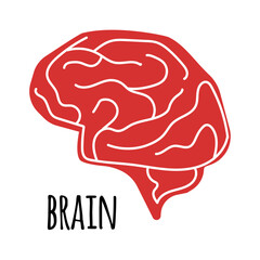 Brain illustration on white background. Flat style.