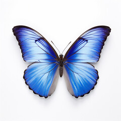 Beautiful blue butterfly on white.  3D illustration digital art design, generative AI