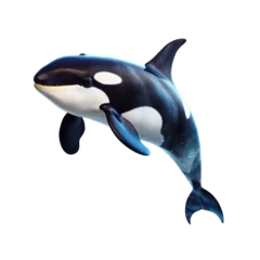 Fototapete Orca killer whale isolated on transparent background cutout