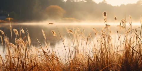 Foto op Plexiglas Diffused light of a misty autumn afternoon, this image showcases a serene lake surrounded by tall grasses, their golden heads swaying gently in the breeze. © tashechka