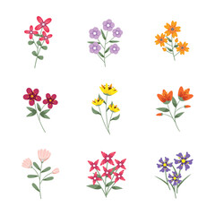 Flower flat hand drawn vector set
