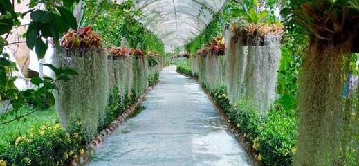 wooden bridge in the park