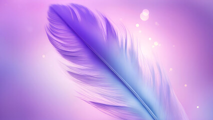 Purple feather on pink background.