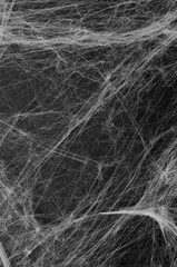 Cobweb on Black Background, Abstract Texture, Halloween Design, Spider Web Texture