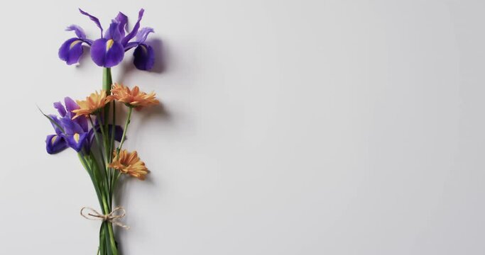 Video of bunch of multi coloured flowers and copy space on white background