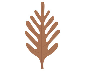 Fototapeta premium leaf