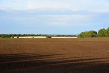 ploughed agricultural field with wheat field on background and cloudy sky copy space 