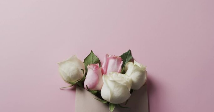 Video of bunch of white and pink roses in envelope and copy space on pink background
