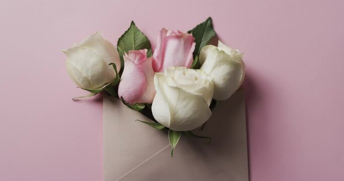 Video of bunch of white and pink roses in envelope and copy space on pink background