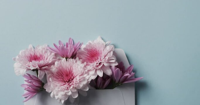 Video of bunch of multi coloured flowers in envelope and copy space on blue background