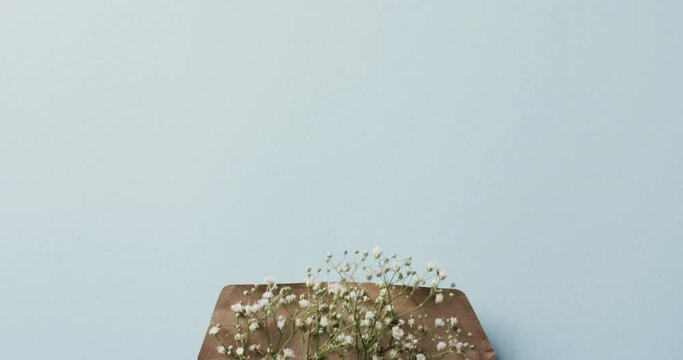 Video of white flowers in brown envelope and copy space on blue background