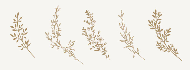 Hand drawn floral botanical lines and silhouettes of branches, leaves and flowers. Trendy minimal elements of wild and garden plants. Vector illustration for logo or tattoo, invitation, save the date