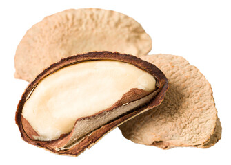 three brazil nuts isolated on white background.