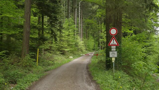 Attention symbol shines bright for cyclists seeking perfect route through forest