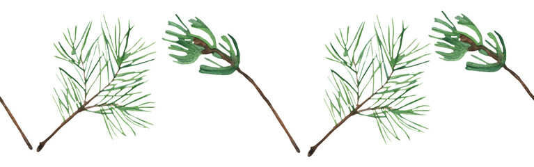 Christmas watercolor horizontal seamless pattern with fir and pine cones.Winter patter