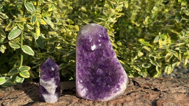 Purple amethyst crystal geode and amethyst point. Beautiful sparkling gemstones on wood, green plant outdoor background with copy space.
