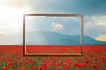 Wooden frame and beautiful poppy meadow near mountains under cloudy sky