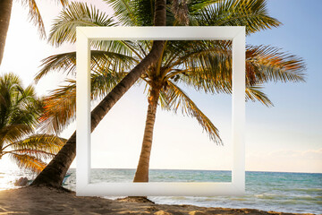 Wooden frame and beautiful beach with palm trees near ocean