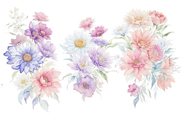 Watercolor flowers on a white background without shadows for illustration.