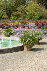 Water fountain in Mainau in Germany