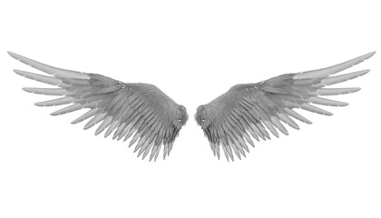 White Angel Wings Isolated