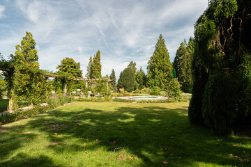 Fototapeta na wymiar Botanical garden in Mainau in Germany
