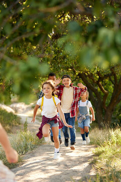 Active, playful children, boys and girls in casual clothes having fun, running, walking in forest on warm summer day. Concept of leisure activity, childhood, friendship, active lifestyle, fun, nature