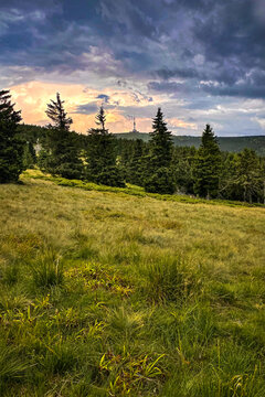 Praded peak. Beautiful sunset in a misty beech forest in the background with green ferns. Tourist location. Premium landscape scene from pure nature, Hrub&yacute; Jesen&iacute;k, High Ash Mountains, Czech Republic