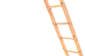 Ladder on white background with blank space for text. Success concept.
