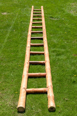 Tall bamboo ladder in the lawn.