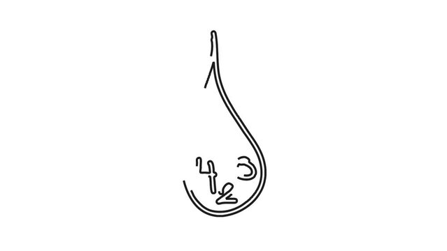 Water molecule H20 drop whiteboard animation
