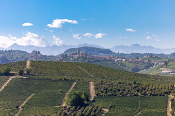 View of Langhe vineyards from Grinzane Cavour. UNESCO Site, Piedmont, Italy