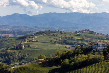 View of Langhe vineyards from La Morra,  UNESCO Site, Piedmont, Italy