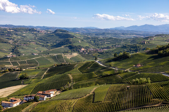 View of Langhe vineyards from La Morra,  UNESCO Site, Piedmont, Italy