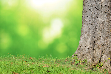 fresh Green grass natural blurred background. springtime season. Beautiful landscape in green grass...