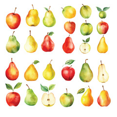 Set of watercolour fruits, seamless pattern apple & pears isolated on white background