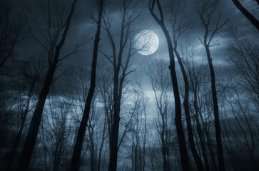 night in the woods under full moon, dark fantasy halloween background