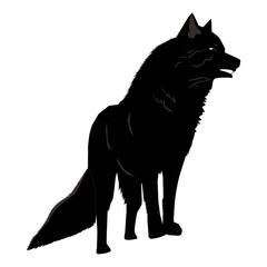 black wolf on a white background