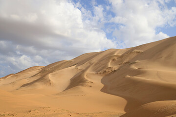 Fototapeta na wymiar The dunes of Khongoryn Els , Gobi Desert Mongolia