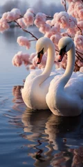 Foto op Canvas A beautiful couple of swans on a pink blue reed lake, vertical orientation © kilimanjaro 