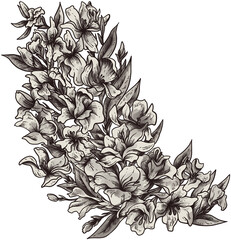hand drawn flowers isolated transparent png