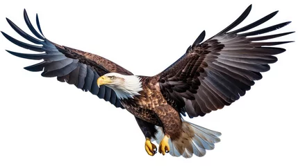 Gordijnen Majestic bald eagle photo realistic illustration - Generative AI. © Mariia