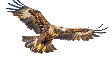 Zelfklevend Fotobehang Majestic golden eagle photo realistic illustration - Generative AI. © Mariia