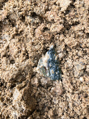 Digging for green Moldavite 