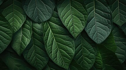 small leaf texture for background