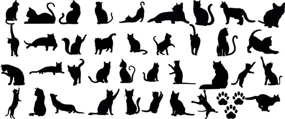 Une collection élégante de silhouettes de chats vectoriels noirs et blancs sur un fond blanc. Parfait pour les amoureux des animaux de compagnie, les designers et les artistes. - obrazy, fototapety, plakaty