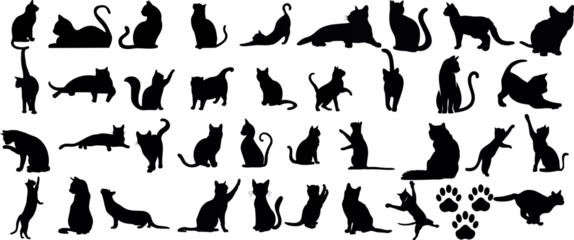 Foto op Plexiglas Une collection élégante de silhouettes de chats vectoriels noirs et blancs sur un fond blanc. Parfait pour les amoureux des animaux de compagnie, les designers et les artistes. © Arafat
