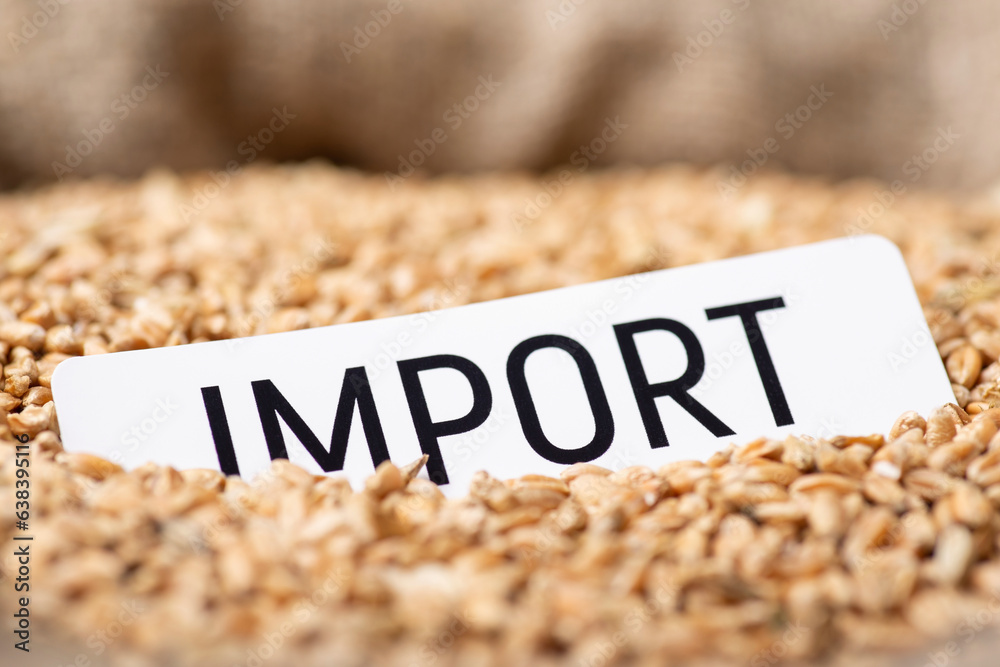 Poster Paper with inscription Import on wheat grains. Trade of wheat, price on grain concept