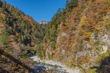 富山県 黒部峡谷 中部山岳国立公園 欅平の紅葉