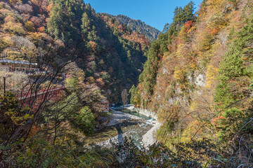 富山県 黒部峡谷 中部山岳国立公園 欅平の紅葉